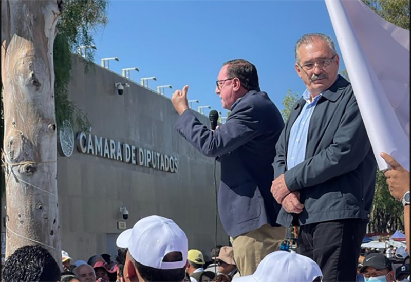 STUANL Cámara de Diputados